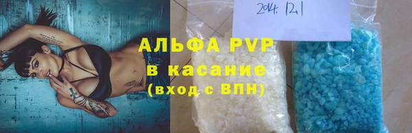 прущие грибы Балабаново
