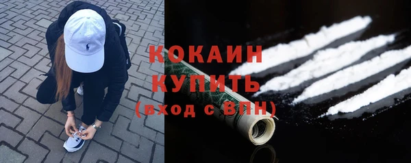 прущие грибы Балабаново