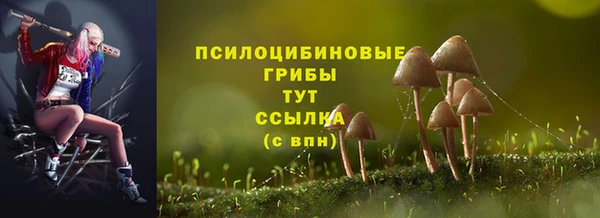 прущие грибы Балабаново