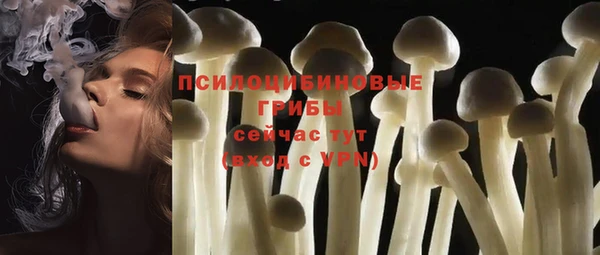 прущие грибы Балабаново