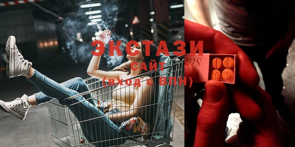 прущие грибы Балабаново