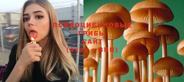 прущие грибы Балабаново
